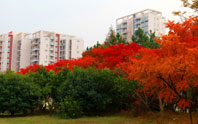 学校风采